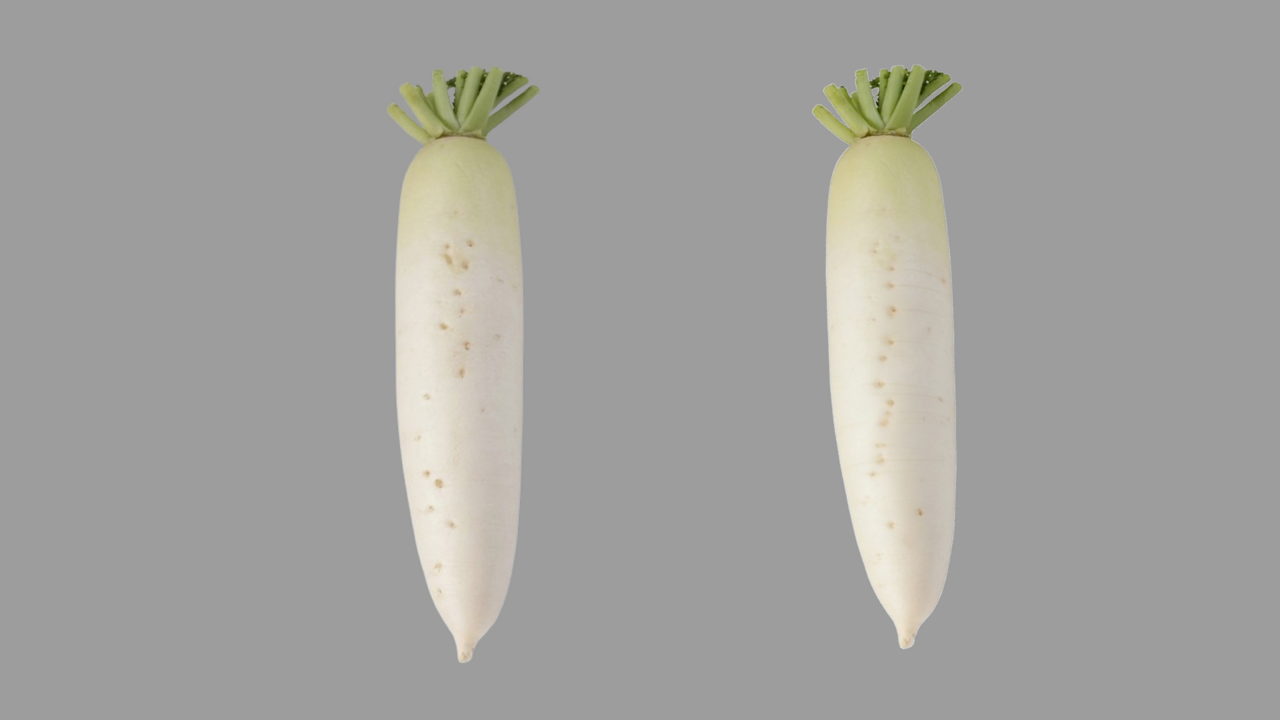 右と左、“辛い大根”はどっち？ひげ根の並び方で分かる、意外すぎるポイントとは