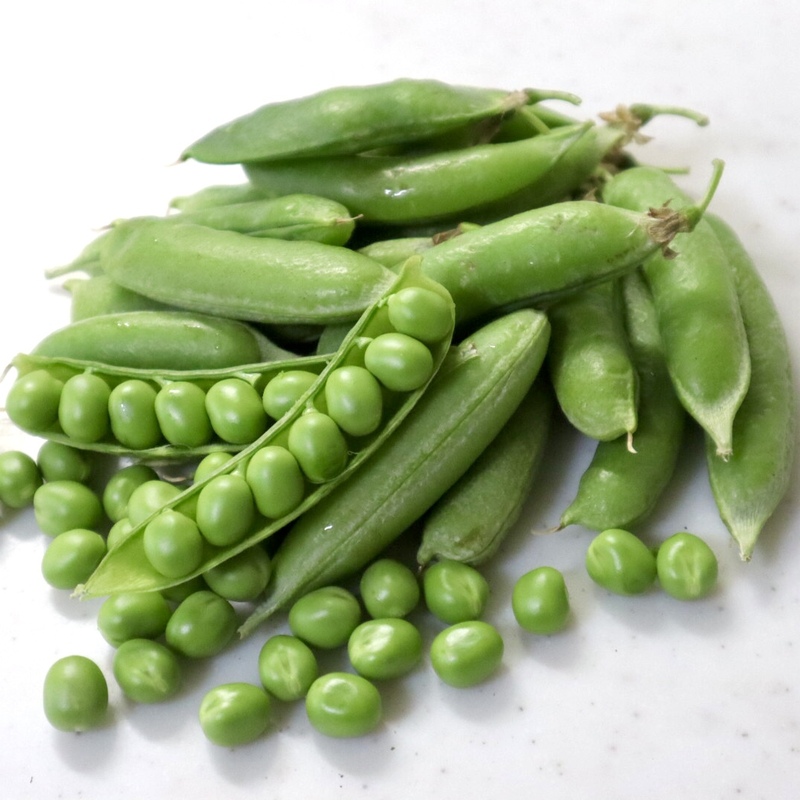 えんどう豆にはどんな種類がある？それぞれの特徴と下処理方法やレシピ 