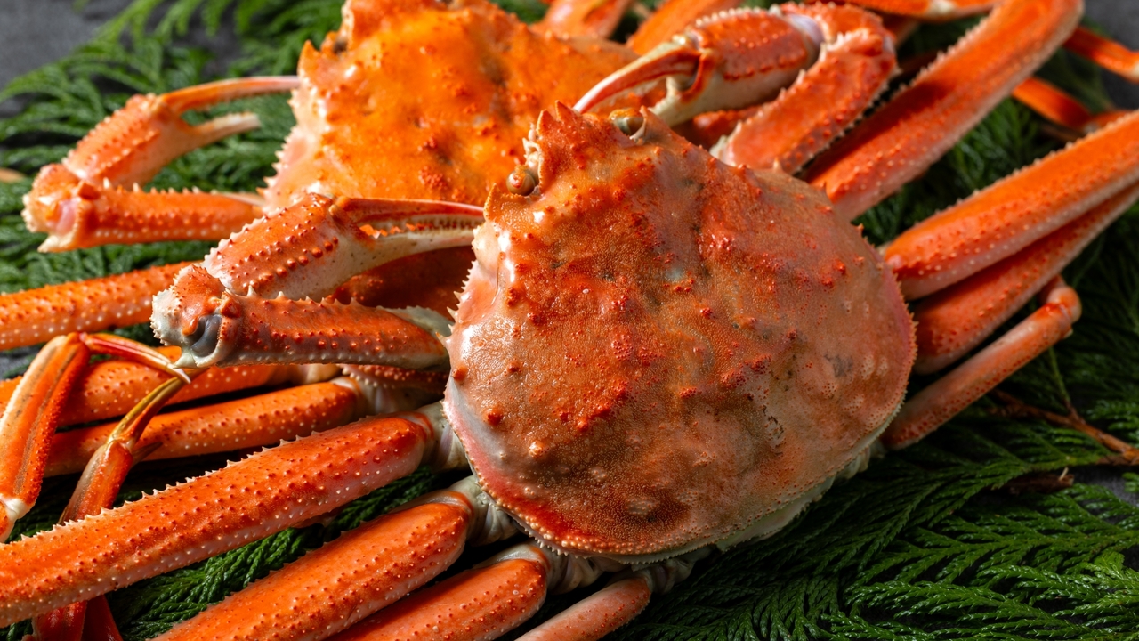 世界で1番"カニ"や"エビ"を食べている？！3位インドネシア、2位アメリカを抑えたダントツ1位は…