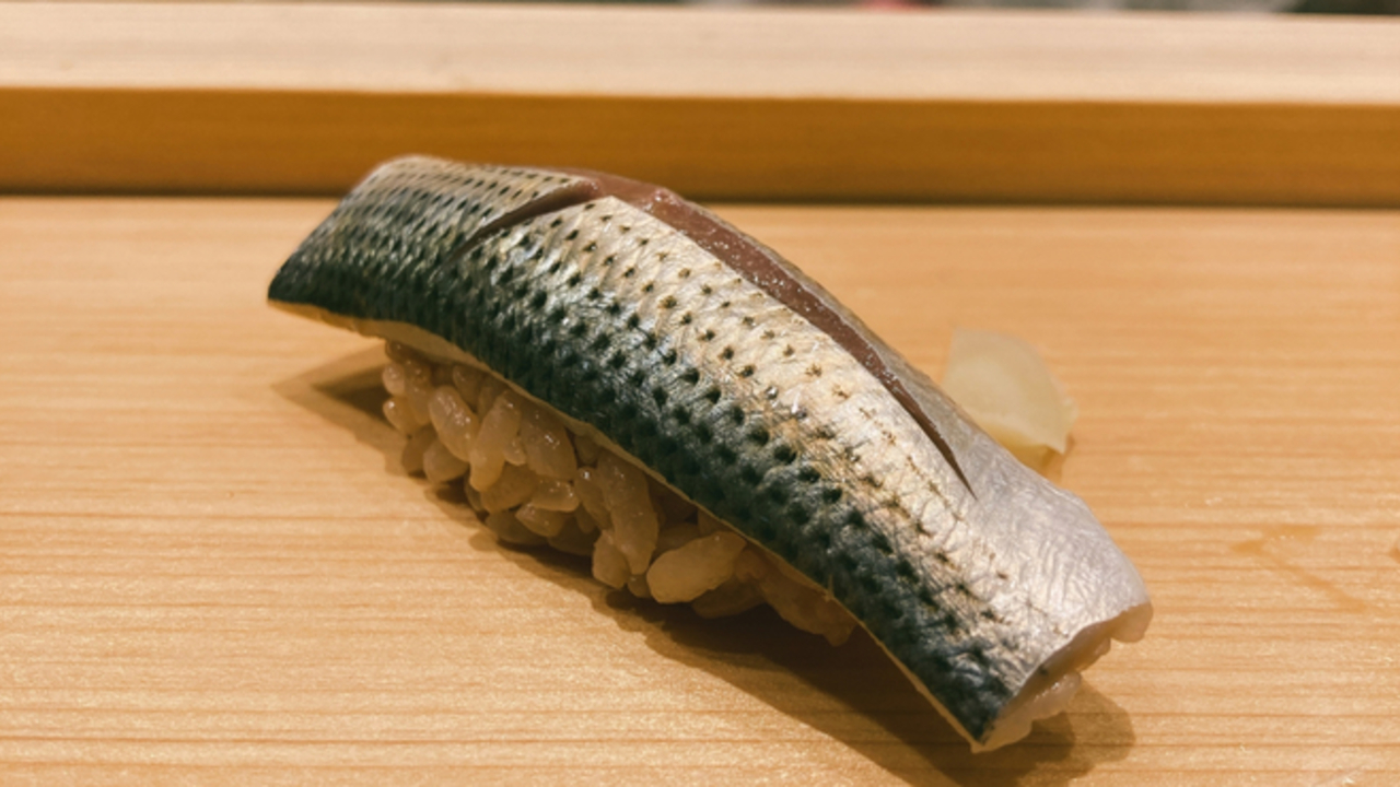 コノシロってどんな魚？味や特徴、コハダとの違いについても解説！