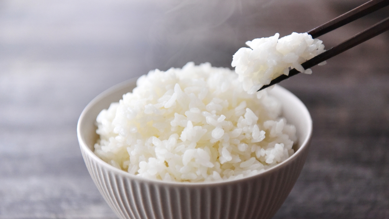 ごはんは一杯何カロリー？玄米や麺類との栄養素の違いも解説！