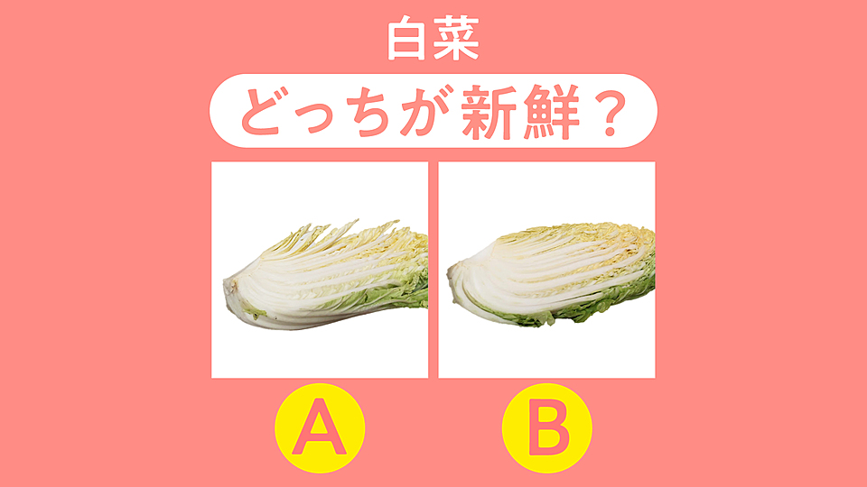 知らなかった！」新鮮な“白菜”を見分けるときにチェックするポイントは 