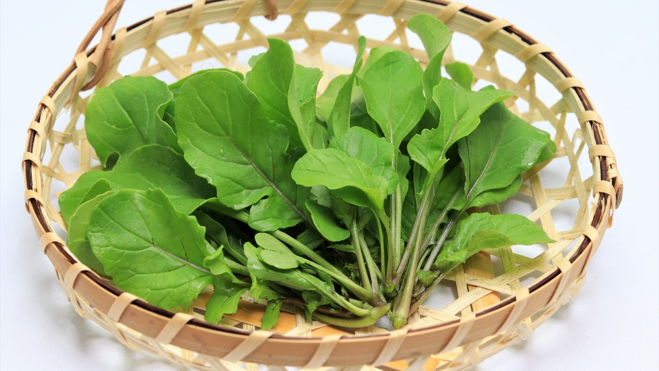 ＊ルッコラページ＊ ルッコラとは？味や特徴、おいしい食べ方について解説！ | クラシル