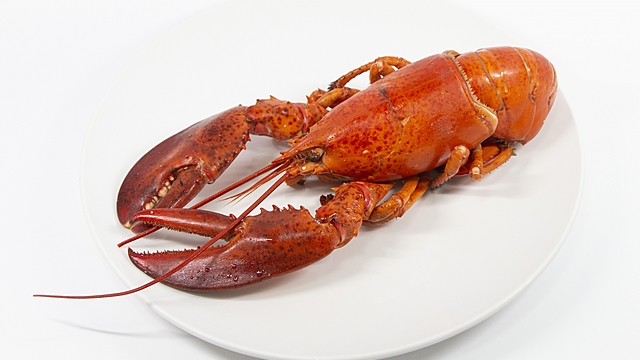 オマール海老とロブスターは何が違う 特徴やおすすめの食べ方をご紹介 クラシル