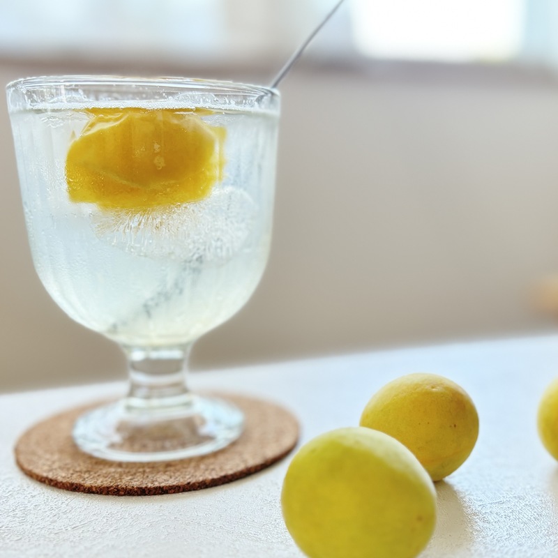 梅シロップを作る簡単な裏ワザに「たった1日でできるの！？」「覚え