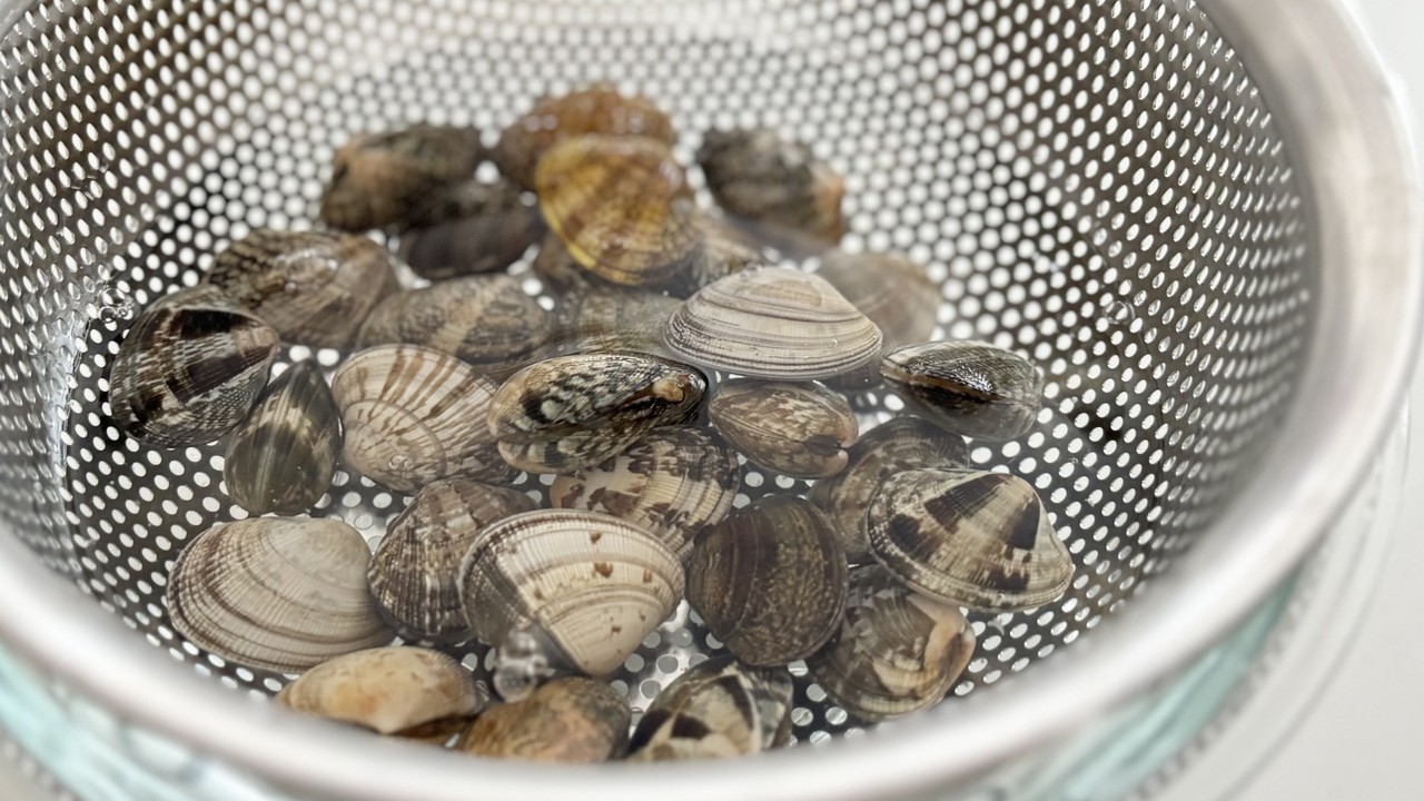 アサリの砂抜き、ペットボトル1つでできる裏ワザに「こんなに簡単だったの！？」「知れてよかった」
