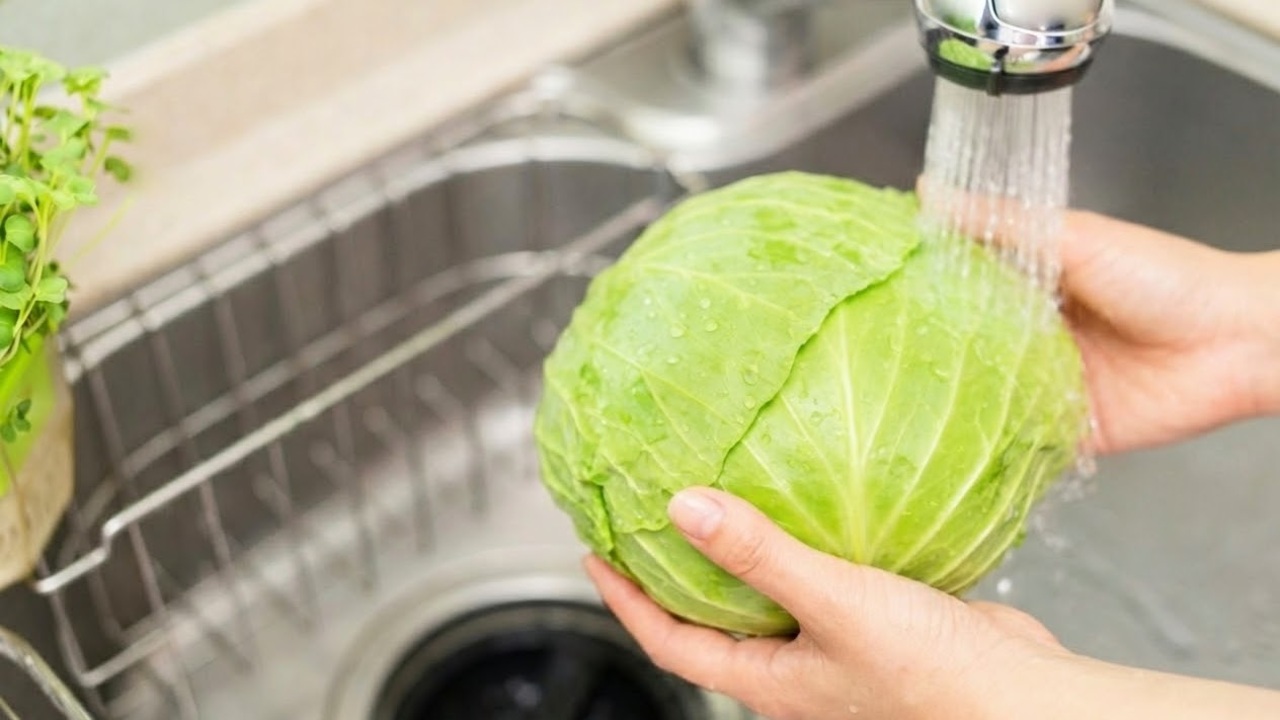「洗わない派、じつは多い？」キャベツの“洗う範囲” 正しい答えはこれ