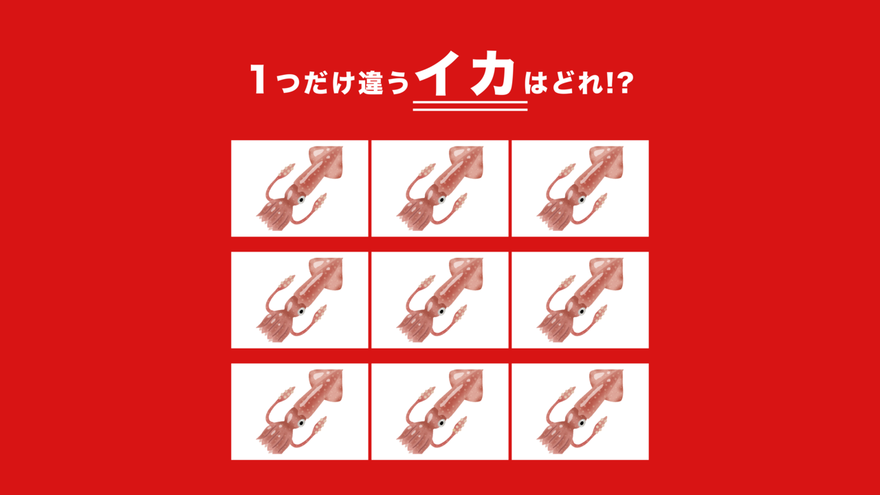 【違う絵探し】1つだけ違う“イカ”はどれ？気になる正解に...「え？どこ？」