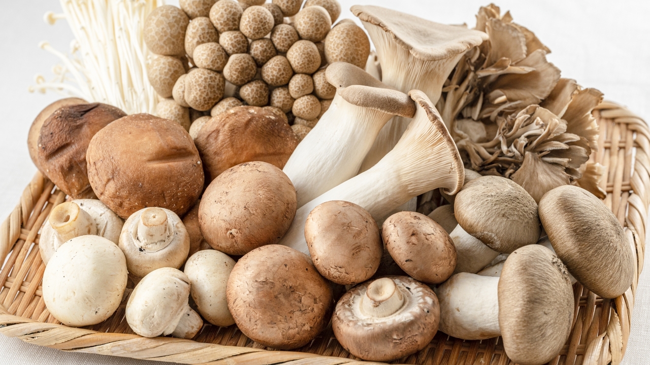 「もしかして水で洗ってる？」“きのこ“を洗ってはいけない理由とベストな下ごしらえとは…