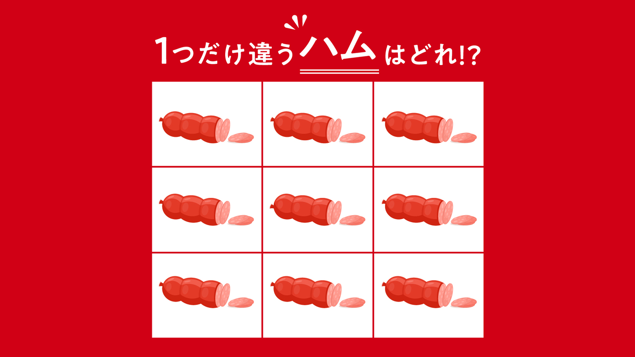 【クイズ】難易度★★★1つだけ違う「ハム」はどれ？気になる正解に…「それか！」