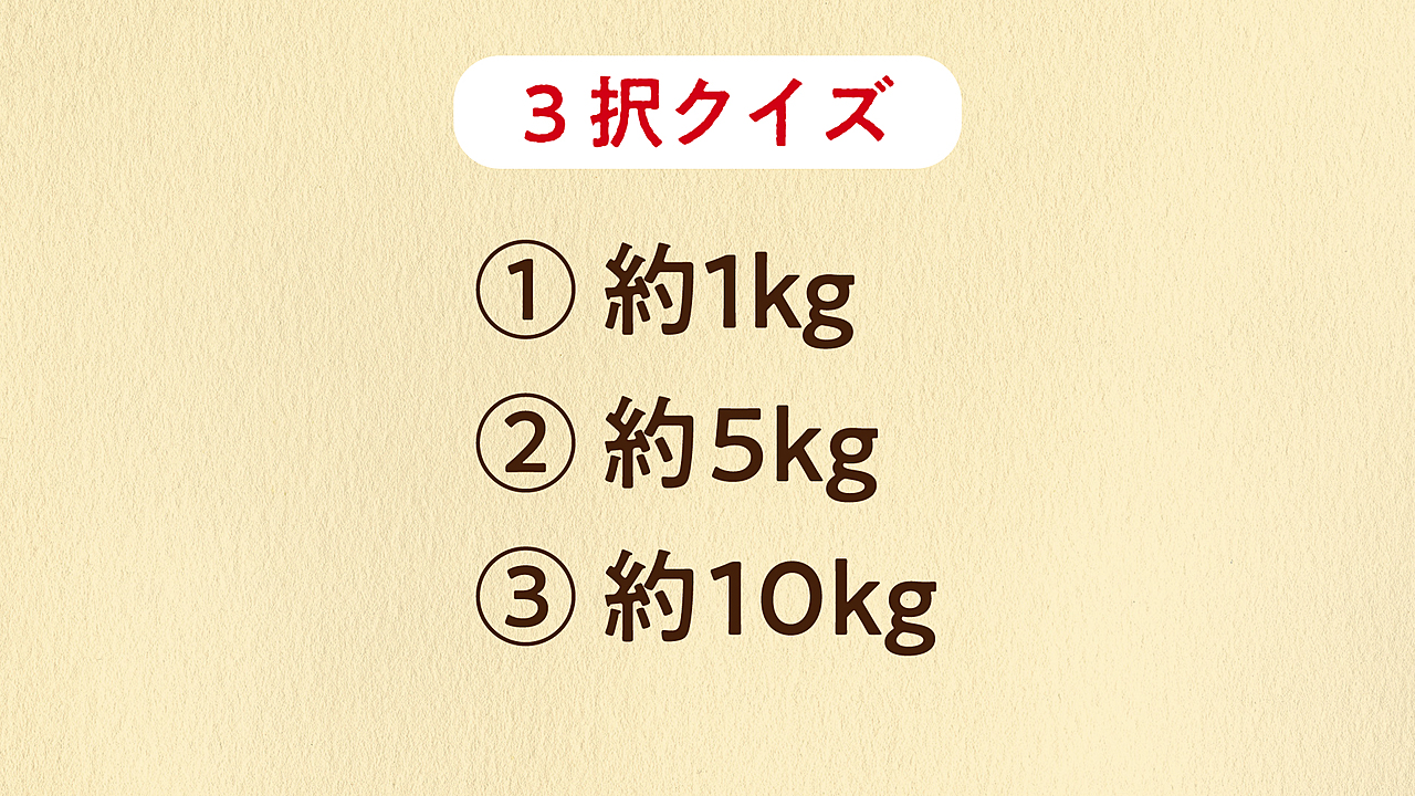 【ギネス記録クイズ】世界で1番大きな「にんじん」は何kg？