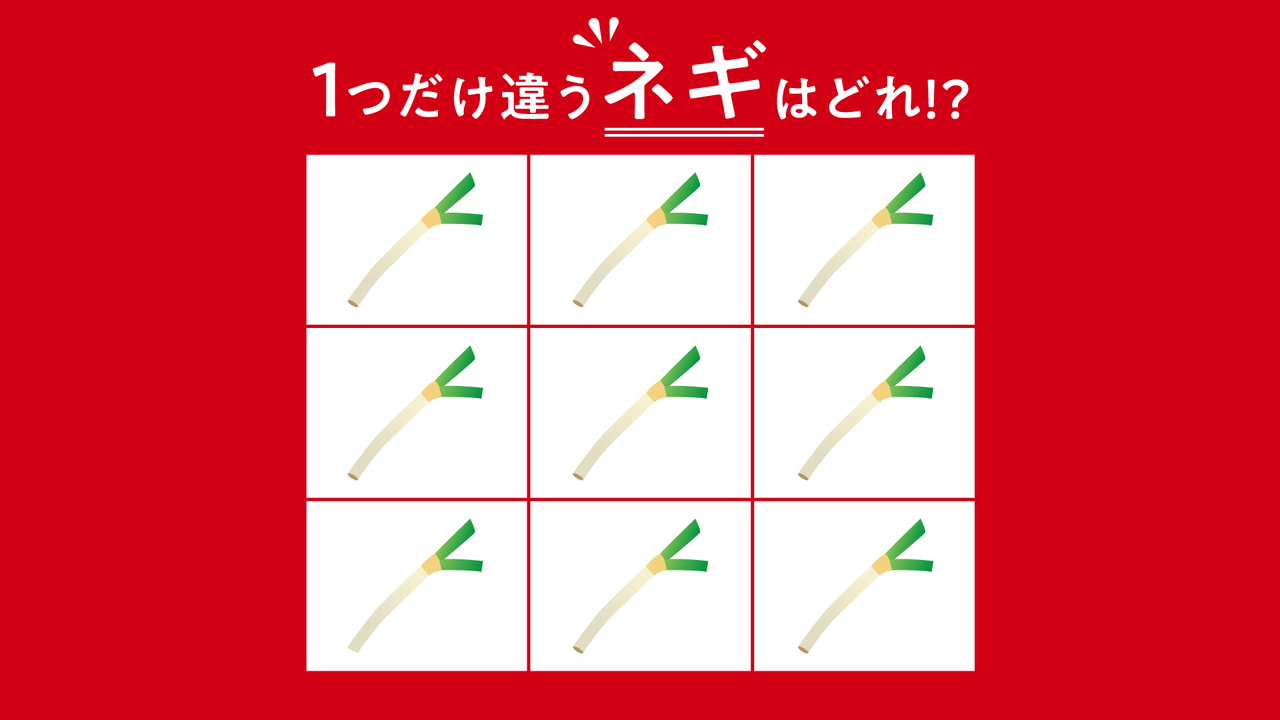 【クイズ】1つだけ違う“ネギ”はどれ？5秒でわかったらすごい！正解は...