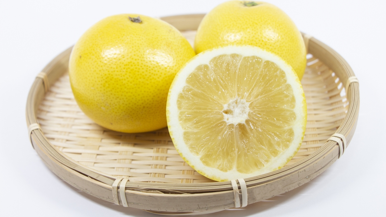 突然変異品種！？ジャクソンフルーツって？グレープフルーツとの違いや甘さ、手でむけるかも解説