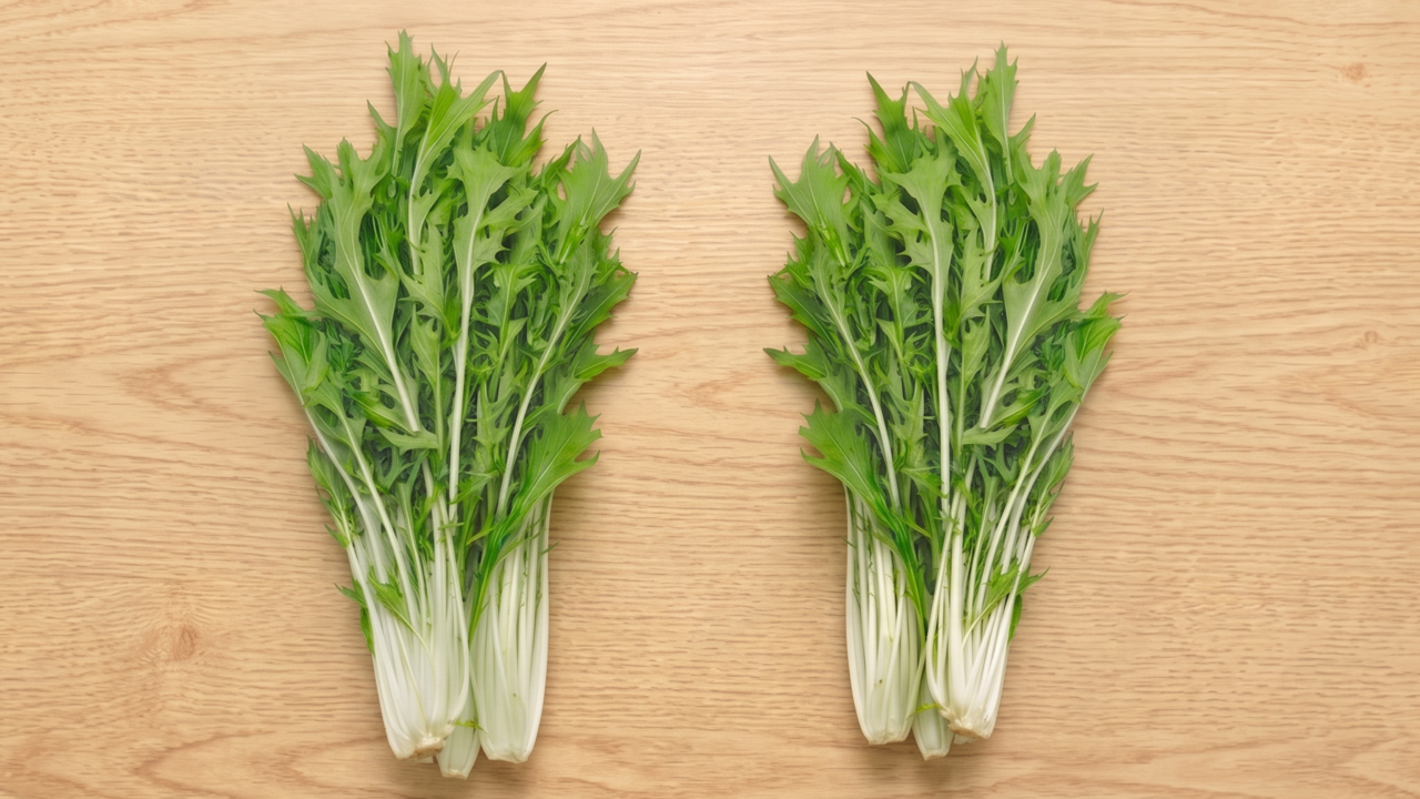 新鮮な水菜「右と左」どっちを買うべき？“茎の色”で分かる選び方！