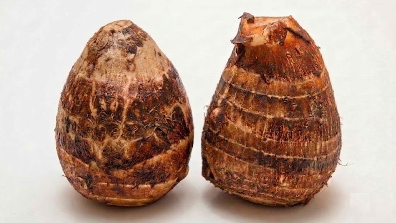 美味しい里芋、「右と左」どっち？皮の縞模様でわかるおいしさの秘密とは…。