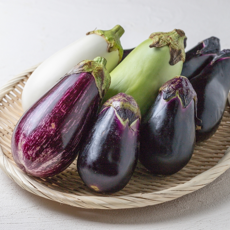 なすの品種について知りたい！それぞれの特徴や食べ方についても解説