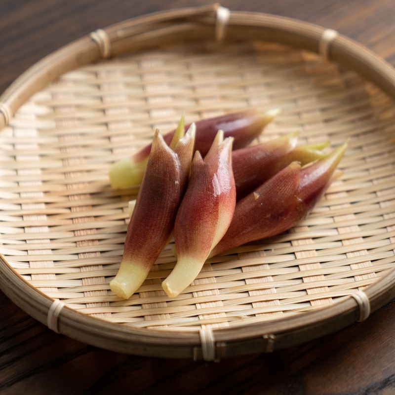 みょうがの選び方と栄養素 買い物で役立つ基本の き クラシル
