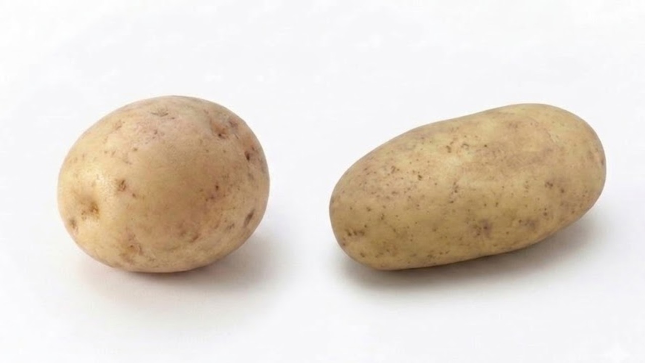 じゃがいも「右と左」煮崩れしにくいのはどっち？品種で変わる食感に「知らなかった！」