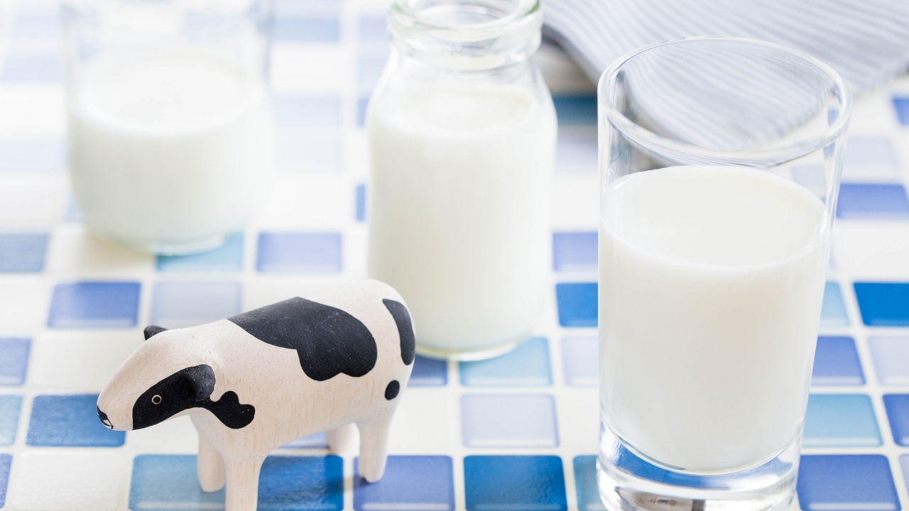 牛乳のカロリーはどのくらい？活用レシピもご紹介！