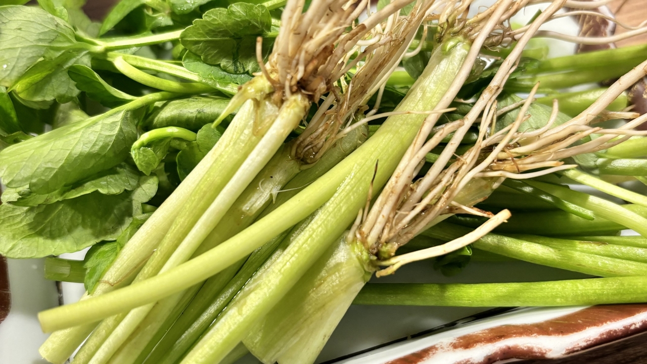 【せり】の根っこは食べられる？下処理方法や食べ方についても解説！