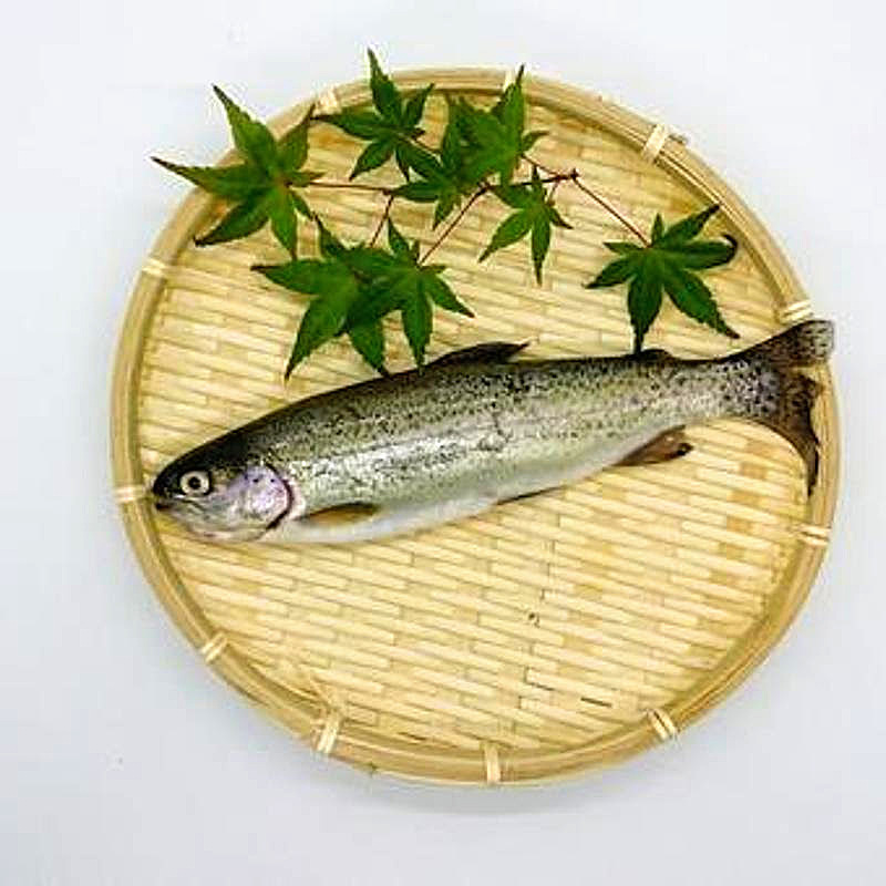 ニジマスってどんな魚？特徴をご紹介！ | クラシル