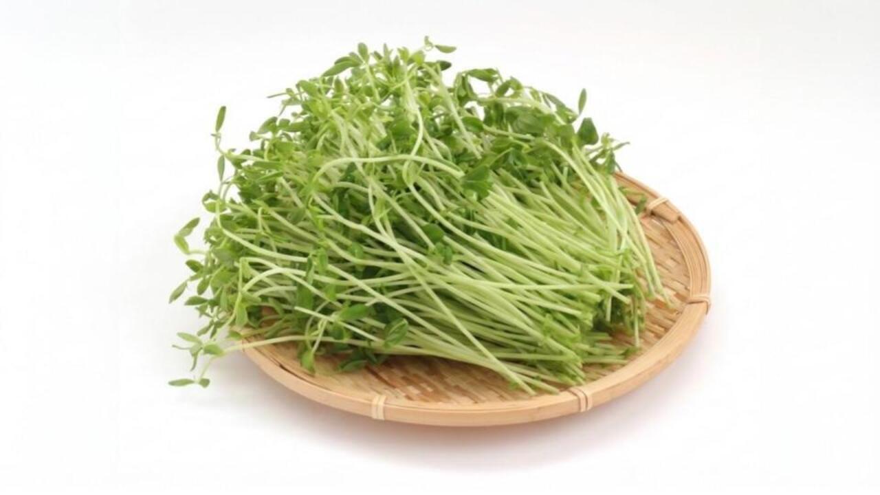 「豆苗はこう食べる」お財布にやさしくてシャキシャキ！“やみつき”レシピ5選