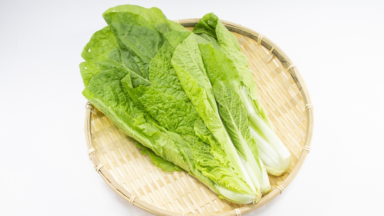 【白菜とは違う？】山東菜（さんとうさい）とは？特徴や「べか菜」との関係、絶品レシピを解説