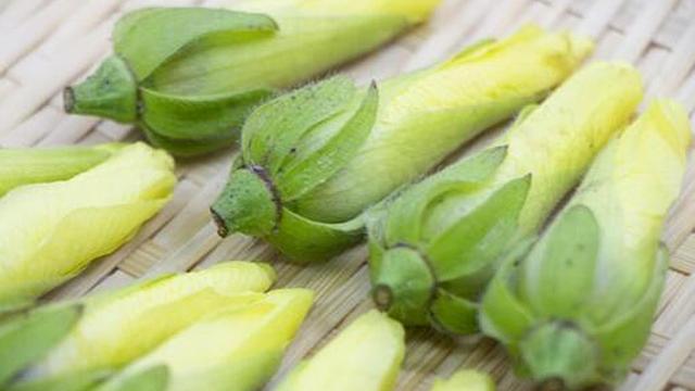 花オクラとオクラの違いとは？特徴や食べ方を解説！ | クラシル