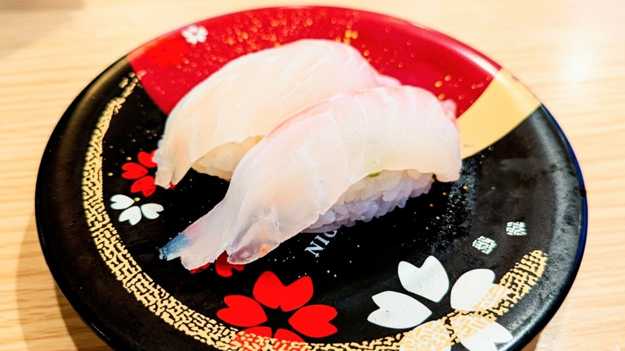 日本で1番「真鯛」を養殖しているのはどこ？3位高知県、2位熊本県を抑えたダントツ1位は…