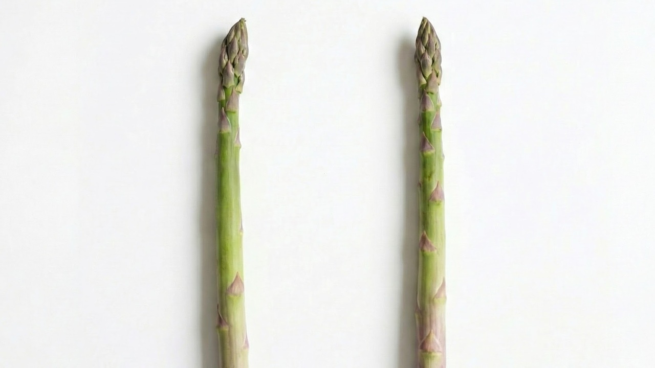 「気にしたことなかった！」どっちのアスパラを買うべき？数で分かる“やわらかさ”の秘密