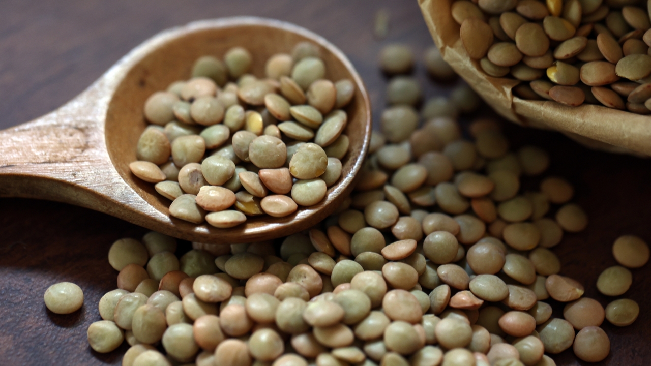 レンズ豆ってどんな豆？特徴や活用レシピをご紹介！