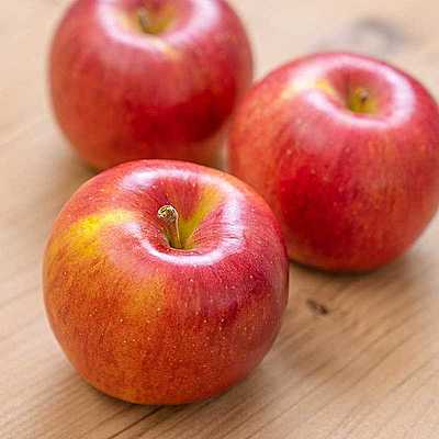 りんごの種類や旬について知りたい！長持ちする保存方法もご紹介