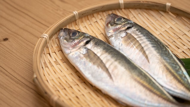 アジの選び方と栄養素 買い物で役立つ基本の き クラシル