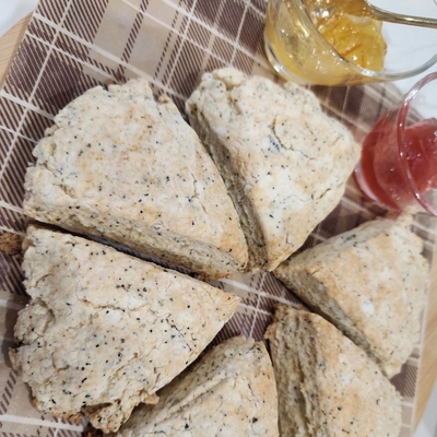 たべれぽの写真