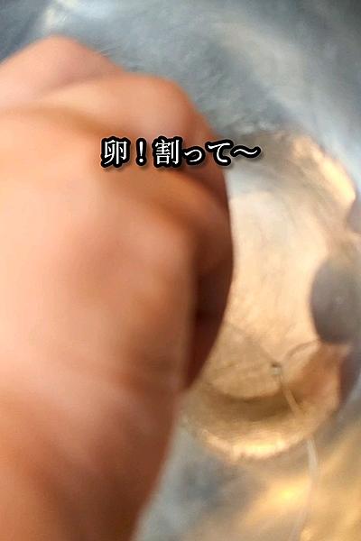 ふわっとろ〜！シンプル塩ネギ卵炒め