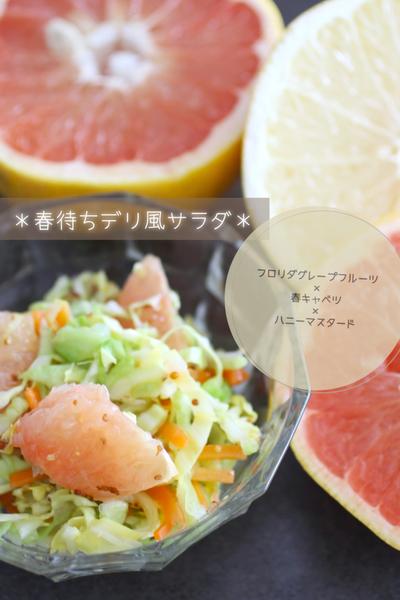 フロリダグレープフルーツで春待ちデリ風サラダ