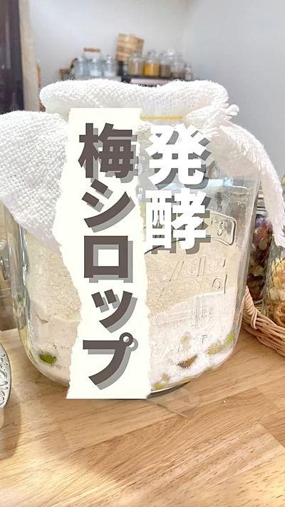 発酵梅シロップ レシピ