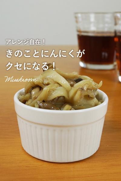 レンチンで簡単！毎日たべたいきのこ和え