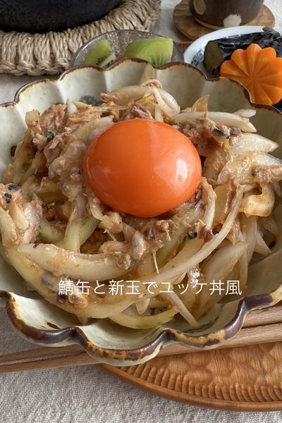 鯖缶と新玉でユッケ丼風