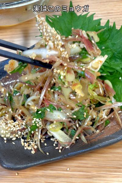 暑い夏の日に！たっぷりミョウガと大葉の梅ポンあえ😋