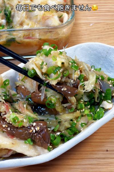 毎日でも食べ飽きない！鶏むねとナスの最強薬味漬け🤤