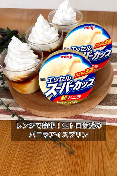 レンジで簡単！生トロ食感のバニラアイスプリン