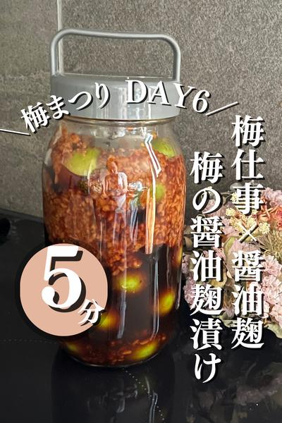＼梅の醤油麹漬け／