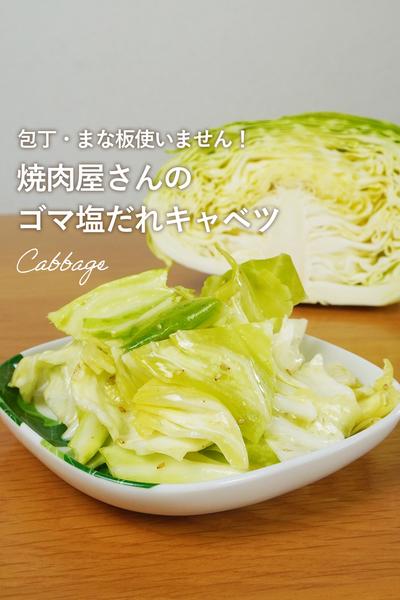 包丁なし！ワンボウルで！あっさり塩ダレキャベツ