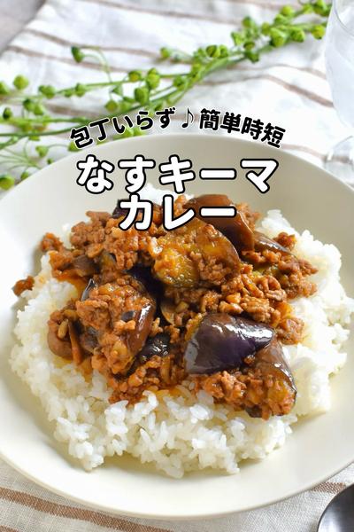 包丁いらずワンパンで！【ナスキーマカレー】