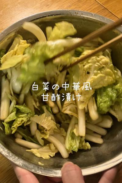 帰宅後vlog/白菜の中華風甘酢漬け