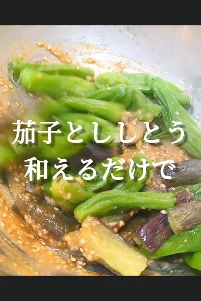 混ぜるだけで旨い！茄子とししとうの胡麻味噌和え