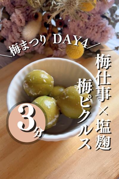 🍴＼梅まつりDAY4：ピクルス風／