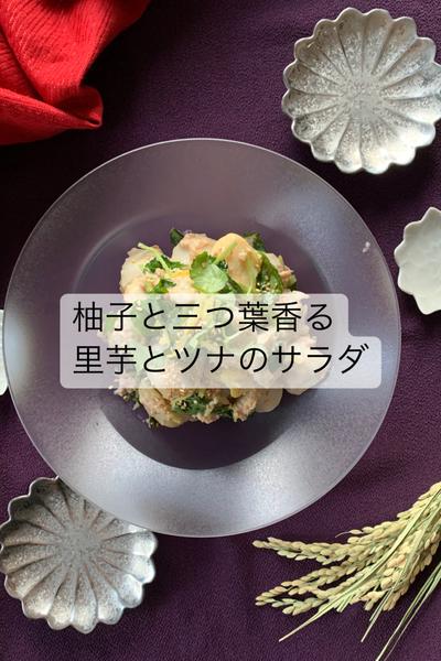 今夜のもう一品　「里芋とツナのサラダ」