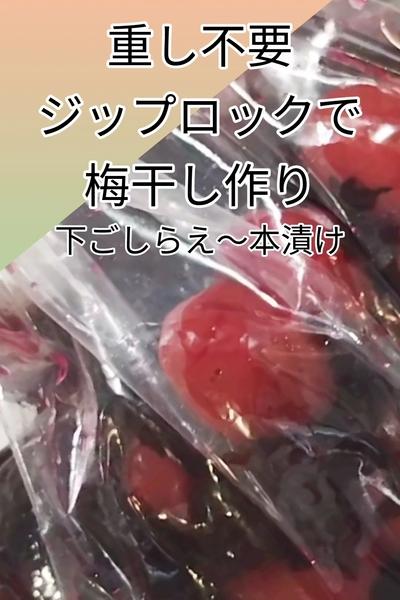 重し不要　ジップロックで梅干し作り